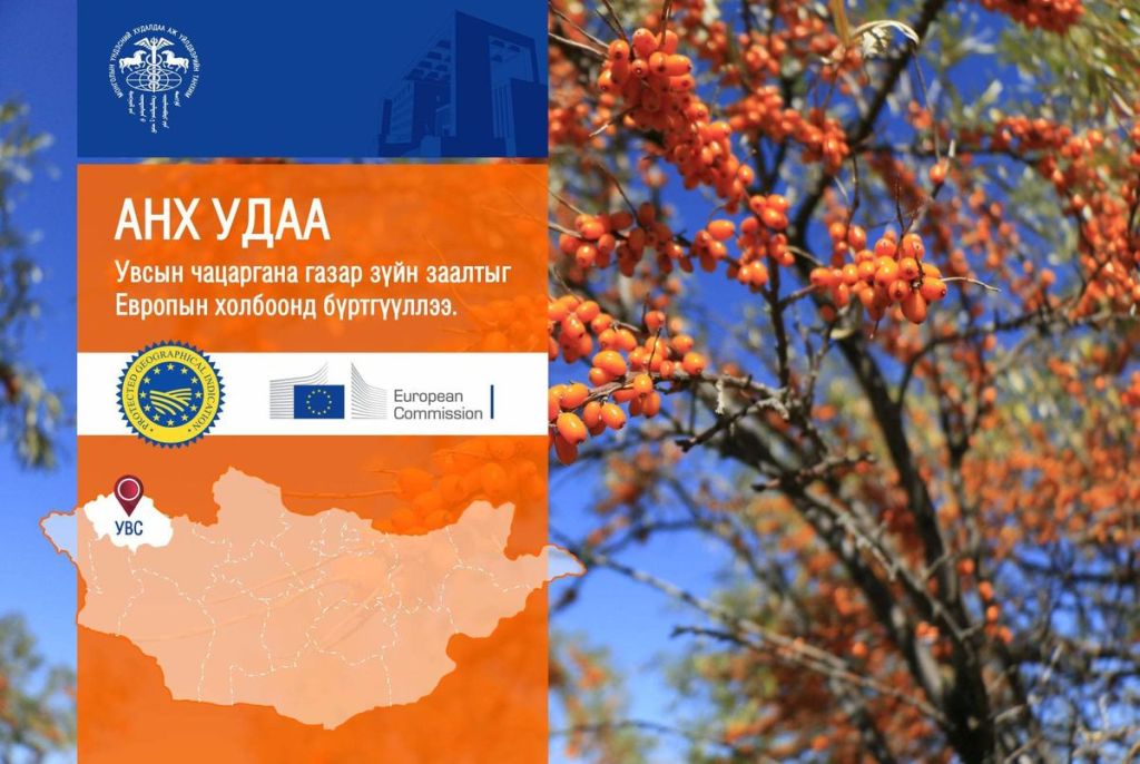 Газар зүйн заалттай бүтээгдэхүүний хөгжүүлэлт эхэн шатандаа явж&nbsp;байна