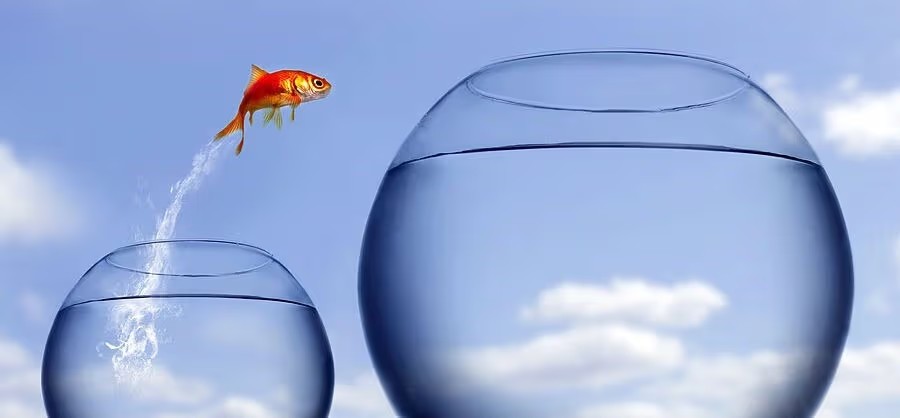 Халамжийн төрөөс хөгжлийн төр рүү шилжих эдийн засгийн&nbsp;реформууд